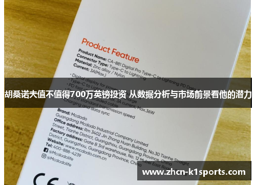 胡桑诺夫值不值得700万英镑投资 从数据分析与市场前景看他的潜力