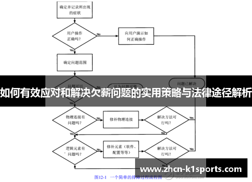 如何有效应对和解决欠薪问题的实用策略与法律途径解析
